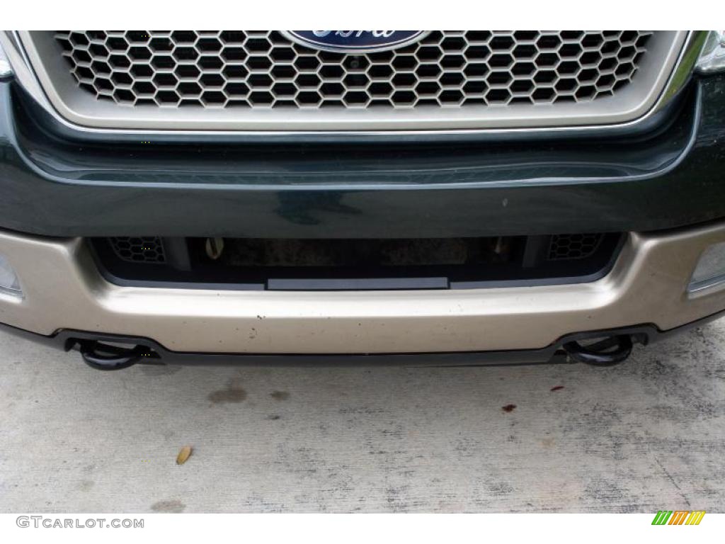 2004 F150 Lariat SuperCrew 4x4 - Aspen Green Metallic / Tan photo #17
