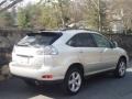 Millennium Silver Metallic - RX 350 AWD Photo No. 5