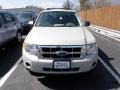 2008 Light Sage Metallic Ford Escape XLS  photo #3