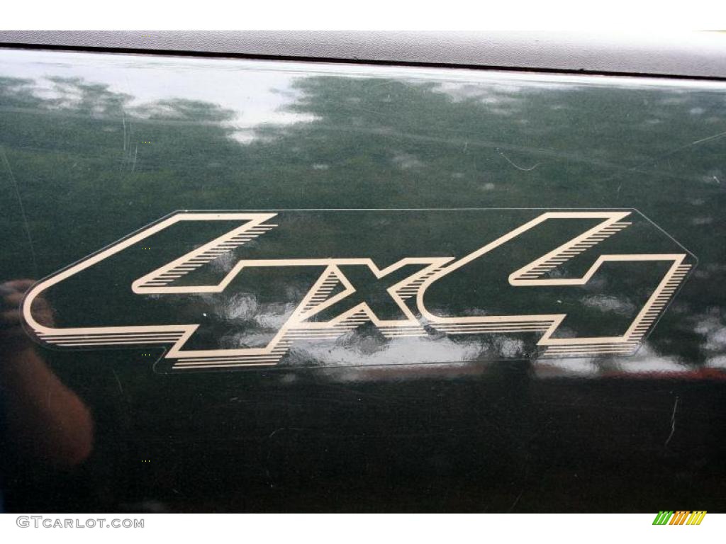 2004 F150 Lariat SuperCrew 4x4 - Aspen Green Metallic / Tan photo #76