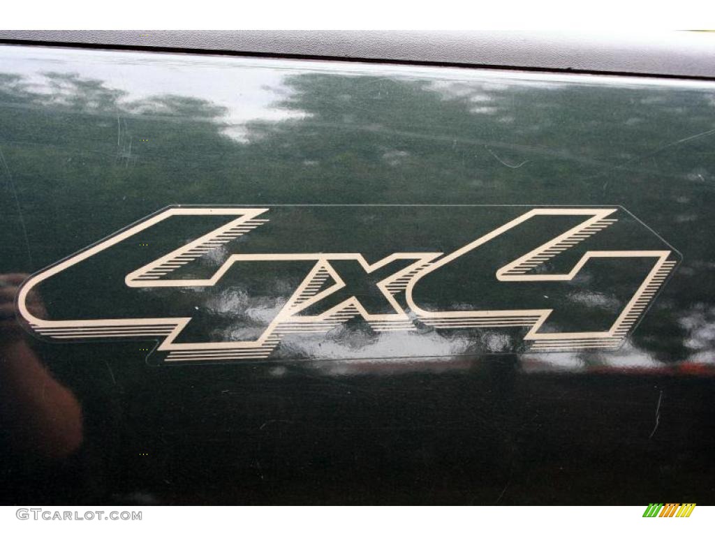 2004 F150 Lariat SuperCrew 4x4 - Aspen Green Metallic / Tan photo #77