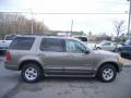 2002 Mineral Grey Metallic Ford Explorer Limited  photo #9