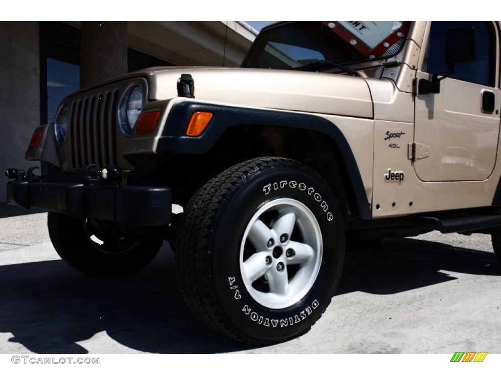 2000 Wrangler Sport 4x4 - Desert Sand Pearl / Camel photo #20