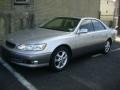 Millenium Silver Metallic - ES 300 Photo No. 2