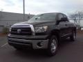 2010 Spruce Green Mica Toyota Tundra TRD Double Cab 4x4  photo #21