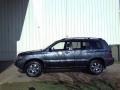 Bluestone Metallic - Highlander V6 Photo No. 18