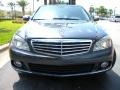 Steel Grey Metallic - C 300 Luxury Photo No. 3