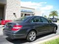 Steel Grey Metallic - C 300 Luxury Photo No. 6