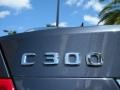 Steel Grey Metallic - C 300 Luxury Photo No. 9