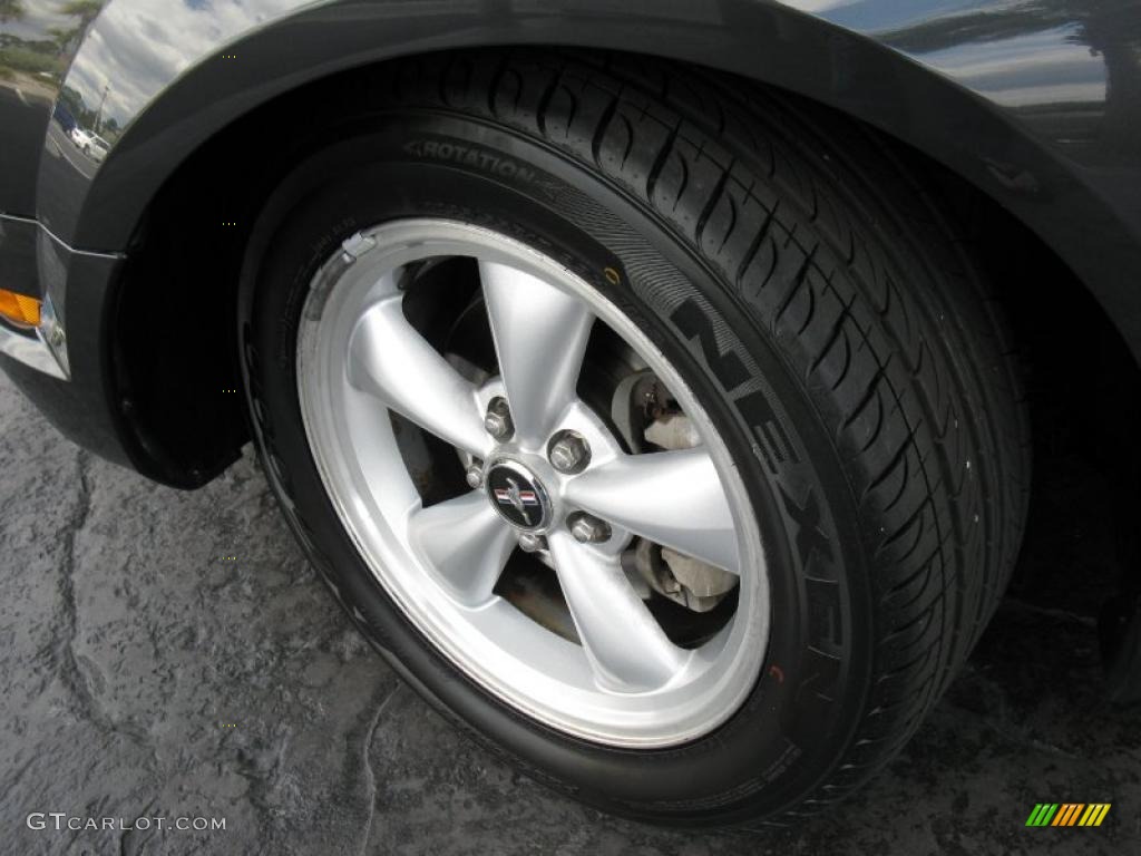 2007 Mustang V6 Premium Coupe - Alloy Metallic / Dark Charcoal photo #9
