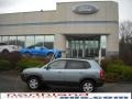 2006 Alpine Frost Hyundai Tucson GLS V6 4x4  photo #1