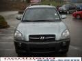 2006 Alpine Frost Hyundai Tucson GLS V6 4x4  photo #3