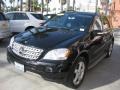 Black - ML 350 4Matic Photo No. 10