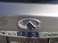 Platinum Graphite Gray - EX 35 AWD Photo No. 11