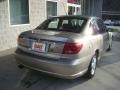 Pewter - L Series L300 Sedan Photo No. 2