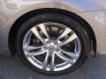 Platinum Graphite Gray - G 37 Coupe Photo No. 18