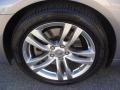 Platinum Graphite Gray - G 37 Coupe Photo No. 19