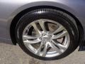 Platinum Graphite Gray - G 37 Coupe Photo No. 20
