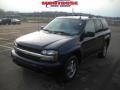 Imperial Blue Metallic - TrailBlazer LS 4x4 Photo No. 19