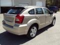Light Sandstone Metallic - Caliber SXT Photo No. 9