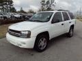 Summit White 2008 Chevrolet TrailBlazer LS