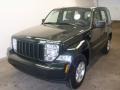 2010 Natural Green Pearl Jeep Liberty Sport 4x4  photo #1