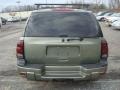 2003 Silver Green Metallic Chevrolet TrailBlazer LS 4x4  photo #4