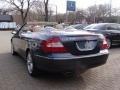 Steel Grey Metallic - CLK 350 Cabriolet Photo No. 6
