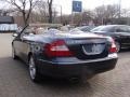 2008 Steel Grey Metallic Mercedes-Benz CLK 350 Cabriolet  photo #6