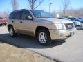 Sand Beige Metallic - Envoy SLE 4x4 Photo No. 3