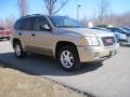 2005 Sand Beige Metallic GMC Envoy SLE 4x4  photo #3