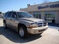 2003 Light Khaki Metallic Dodge Durango SLT 4x4  photo #2