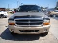 2003 Light Khaki Metallic Dodge Durango SLT 4x4  photo #3