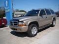 2003 Light Khaki Metallic Dodge Durango SLT 4x4  photo #4