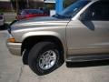 2003 Light Khaki Metallic Dodge Durango SLT 4x4  photo #28