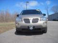 Sedona Beige Metallic - Montana  Photo No. 2