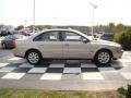 Ash Gold Metallic - S80 2.5T Photo No. 6