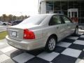 Ash Gold Metallic - S80 2.5T Photo No. 7