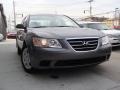 Willow Gray - Sonata GLS Photo No. 1