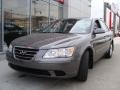Willow Gray - Sonata GLS Photo No. 3