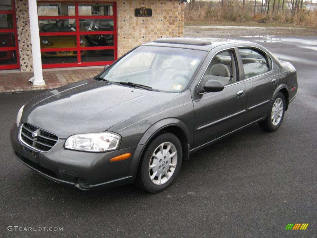 2001 Maxima SE - Gray Lustre Metallic / Frost photo #1