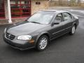 2001 Gray Lustre Metallic Nissan Maxima SE  photo #1