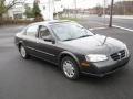 Gray Lustre Metallic - Maxima SE Photo No. 2