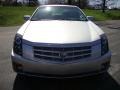 Light Platinum - CTS Sedan Photo No. 3