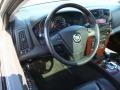 Light Platinum - CTS Sedan Photo No. 11