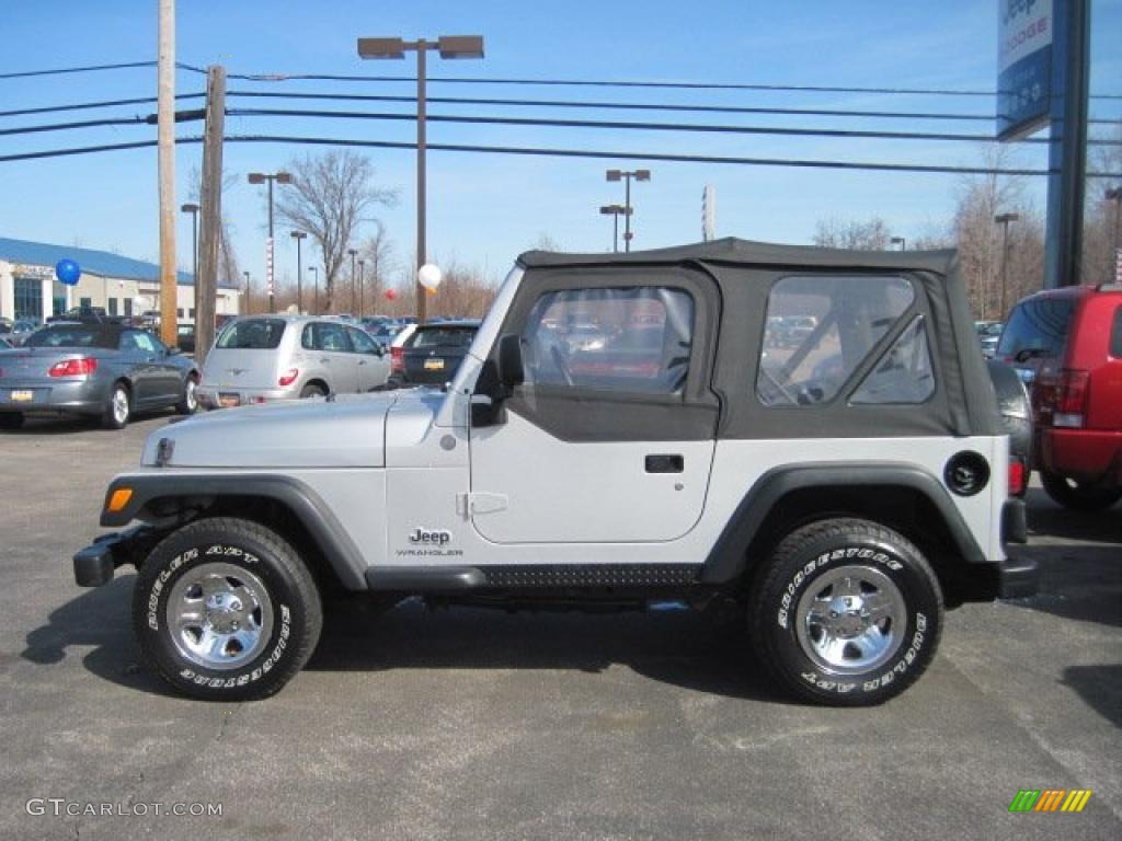 2004 Wrangler SE 4x4 - Bright Silver Metallic / Dark Slate Gray photo #6