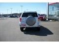 2002 Natural White Toyota RAV4   photo #6