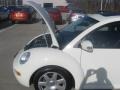 Campanella White - New Beetle GLX 1.8T Coupe Photo No. 21