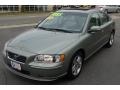 Willow Green Metallic - S60 2.5T Photo No. 11