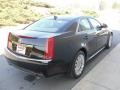 Black Raven - CTS 3.6 Sedan Photo No. 4